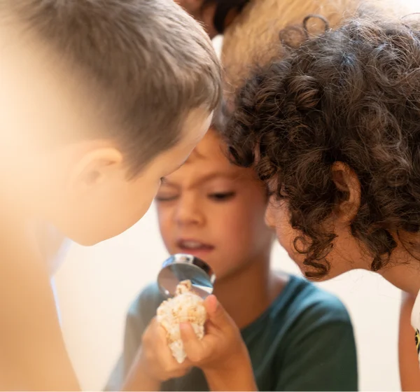 Bambini che osservano le chiocciole