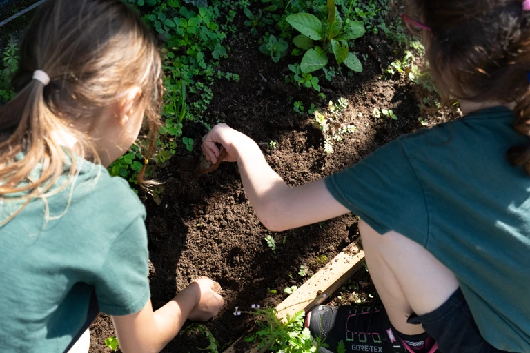 Eco-school e sostenibilità