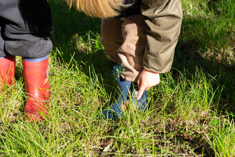 YIES Preschool - Outdoor Education
