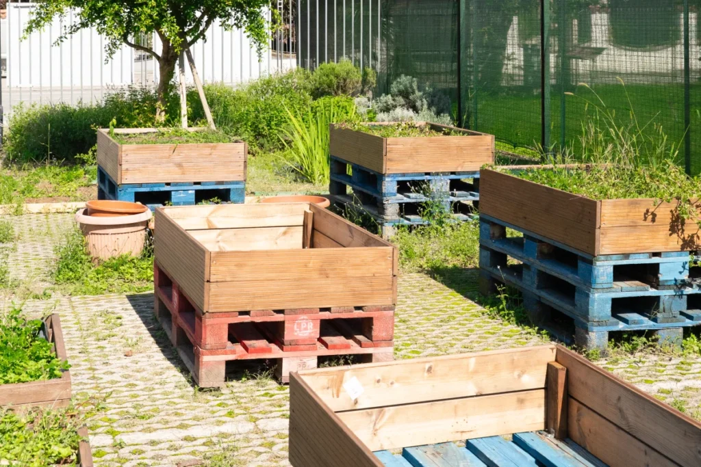 YIES School - Spazi all'aperto